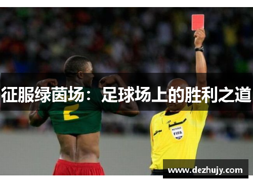 征服绿茵场：足球场上的胜利之道