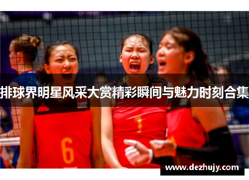 排球界明星风采大赏精彩瞬间与魅力时刻合集