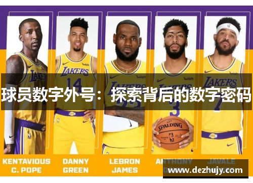 球员数字外号：探索背后的数字密码