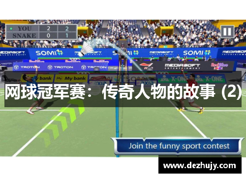 网球冠军赛：传奇人物的故事 (2)