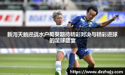 新泻天鹅迎战水户蜀葵期待精彩对决与精彩进球的足球盛宴